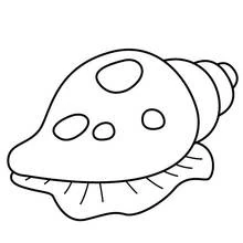 Dibujo de Concha con manchas ovaladas para colorear
