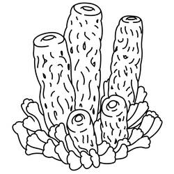 Dibujo de Formación de coral en tubos para colorear