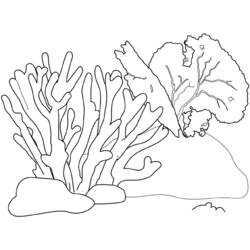 Dibujo de Ramas de coral en el fondo marino para colorear