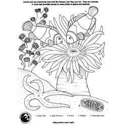 Dibujo de Arrecife de coral con peces payaso y anémona para colorear