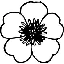 Dibujo de Flor sencilla de cinco pétalos para colorear