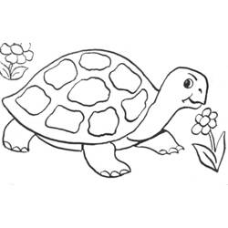 Dibujo de Tortuga caminando entre flores para colorear