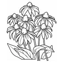 Dibujo de Ramo de flores margarita para colorear