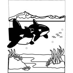 Dibujo de Dos orcas nadando cerca de montañas heladas para colorear