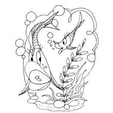 Dibujo de Dos peces espada nadando entre algas y burbujas para colorear