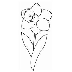Narciso - Dibujos para colorear gratis