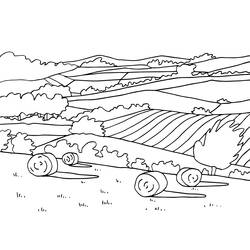 Dibujo de Paisaje de fardos de heno en un campo ondulado para colorear