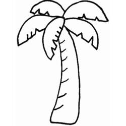Palmera - Dibujos para colorear gratis