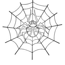 Telaraña - Dibujos para colorear gratis