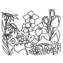 Temporada de Primavera - Dibujos para colorear gratis