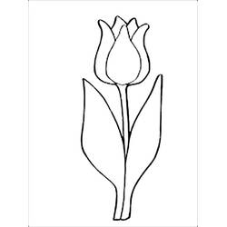 Dibujo de Tulipán con una sola flor y dos hojas para colorear