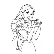 Dibujo de Pocahontas con Meeko y Flit para colorear Dibujo de Pocahontas con Meeko y Flit para colorear