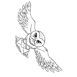 Dibujo de Hedwig volando con una carta para colorear Dibujo de Hedwig volando con una carta para colorear