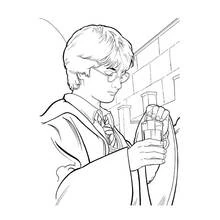 Dibujo de Harry Potter preparando una poción mágica para colorear Dibujo de Harry Potter preparando una poción mágica para colorear