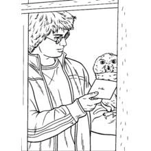 Dibujo de Harry Potter leyendo una carta de su lechuza para colorear Dibujo de Harry Potter leyendo una carta de su lechuza para colorear