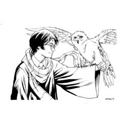 Dibujo de Harry Potter con Hedwig posada en su brazo para colorear Dibujo de Harry Potter con Hedwig posada en su brazo para colorear