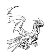 Dibujo de Dragón con alas extendidas de Harry Potter para colorear Dibujo de Dragón con alas extendidas de Harry Potter para colorear
