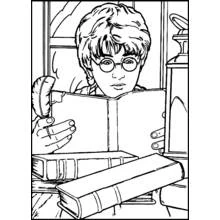 Dibujo de Harry Potter leyendo un libro con una pluma para colorear Dibujo de Harry Potter leyendo un libro con una pluma para colorear
