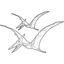 Dibujo de Dos pterodáctilos volando uno junto al otro para colorear