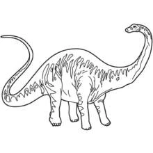 Dibujo de Braquiosaurio de cuello largo de pie para colorear