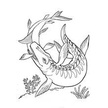 Dibujo de Mosasaurio nadando bajo el agua para colorear