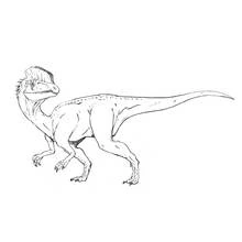 Dibujo de Dilophosaurus caminando con la cresta erguida para colorear