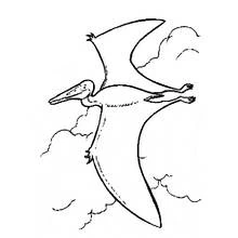 Dibujo de Pteranodon volando entre nubes para colorear
