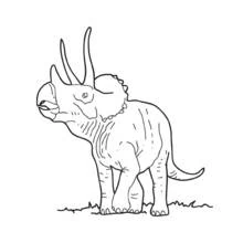 Dibujo de Triceratops de pie sobre la hierba para colorear