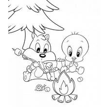 Dibujo de Baby Looney Tunes acampando con malvaviscos para colorear