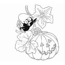 Dibujo de Calimero sobre una calabaza con una linterna de Halloween para colorear