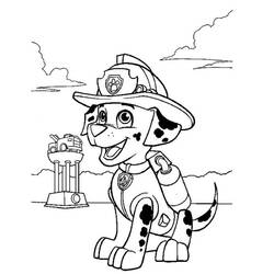 Marcus PAW Patrol - Dibujos para colorear gratis Marcus PAW Patrol - Dibujos para colorear gratis