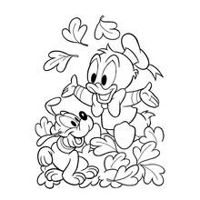 Dibujo de Pato Donald jugando con Pluto entre hojas para colorear