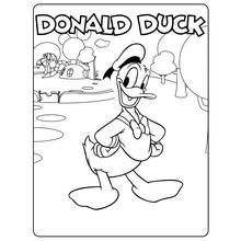 Dibujo de Pato Donald caminando en un parque de juegos para colorear