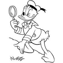 Dibujo de Pato donald examinando con una lupa para colorear