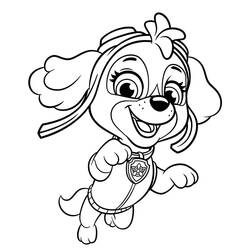 Stella PAW Patrol - Dibujos para colorear gratis