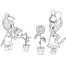 Zou - Dibujos para colorear gratis