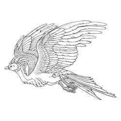 Dibujo de Fénix volando con las alas extendidas para colorear