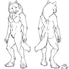Dibujo de Hombre lobo de frente y de espaldas para colorear