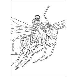 Dibujo de Hombre Hormiga cabalgando sobre una hormiga gigante para colorear