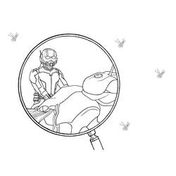 Dibujo de Hombre Hormiga montando una hormiga vista a través de una lupa para colorear