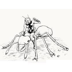 Dibujo de Hombre Hormiga montando una hormiga gigante para colorear