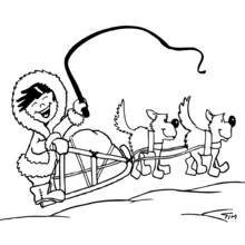 Trineo de Perros - Dibujos para colorear gratis